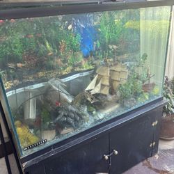 Aquarium 