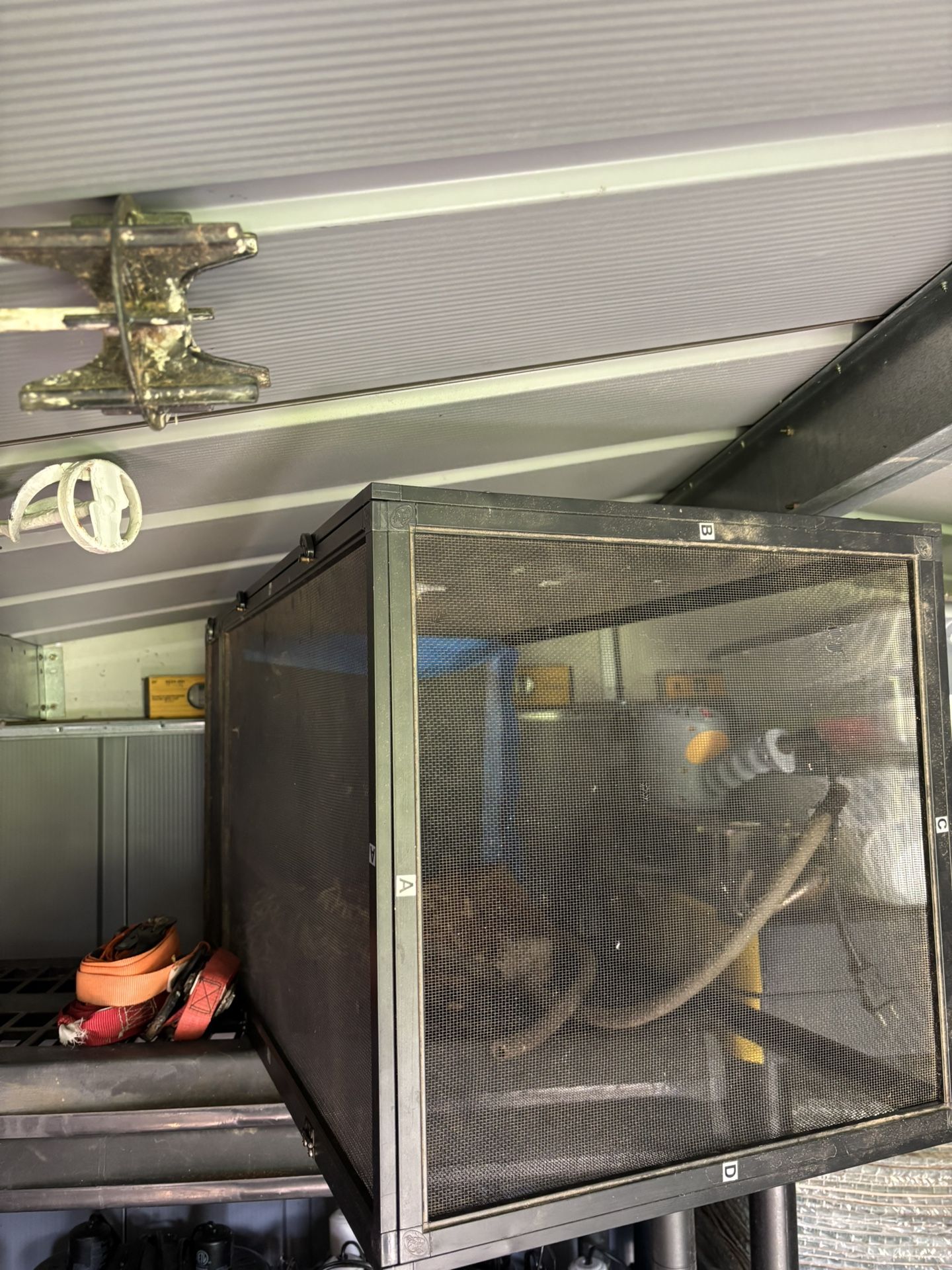Reptile Cages And Enclosures