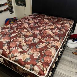 Full Size Bed And Mattress 