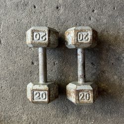 💰20lb Dumbbell💰