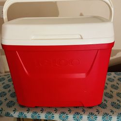 26 Quart Igloo Cooler