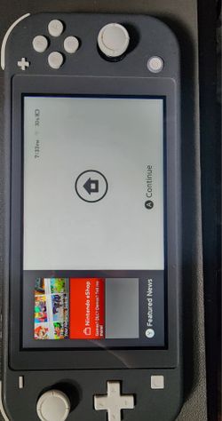 Nintendo switch lite