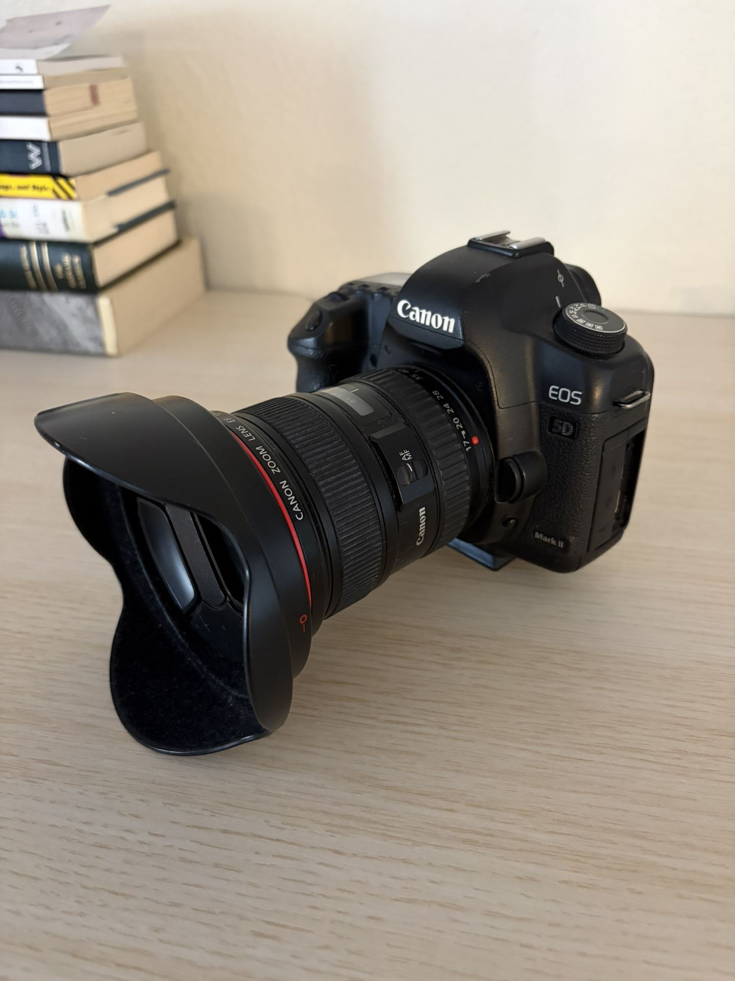 Canon EOS 5D Mark II With Lens