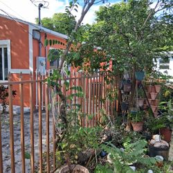 Farm And Garden