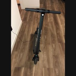 Electric scooter 