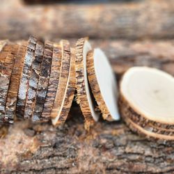 Rustic Wood Slices 