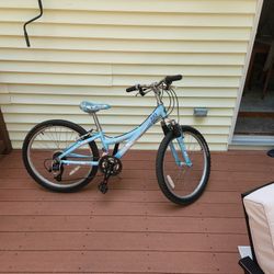 Trek 220 Girls Bike