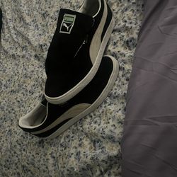 Pumas 