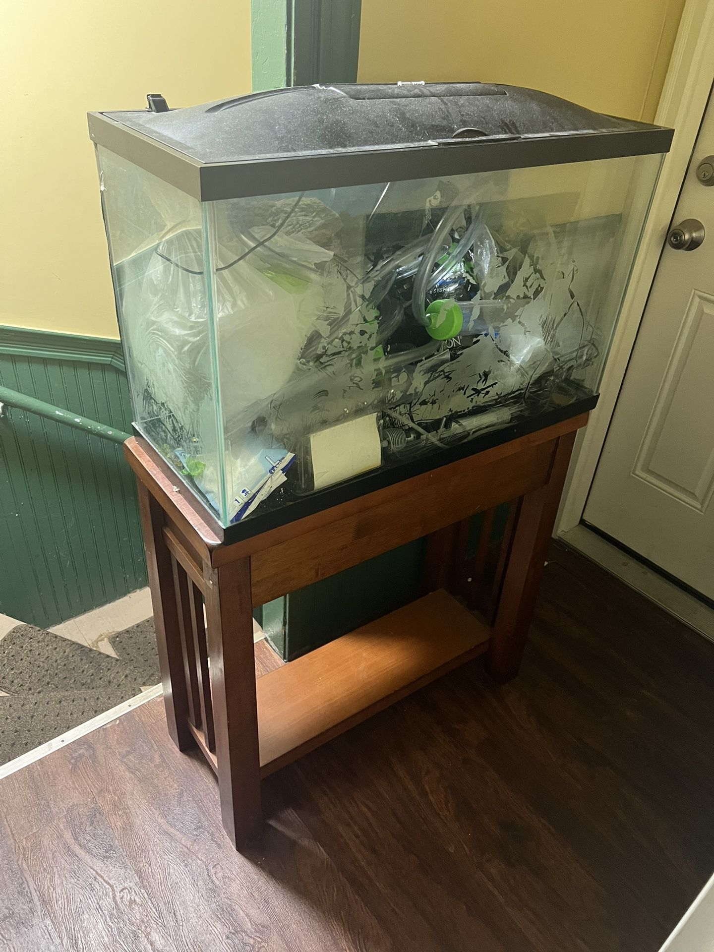Fish Tank Of 40 Or 50 Gallons