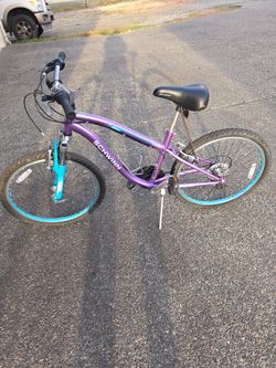 Schwinn Atlas 24-inch girls' mountain bike