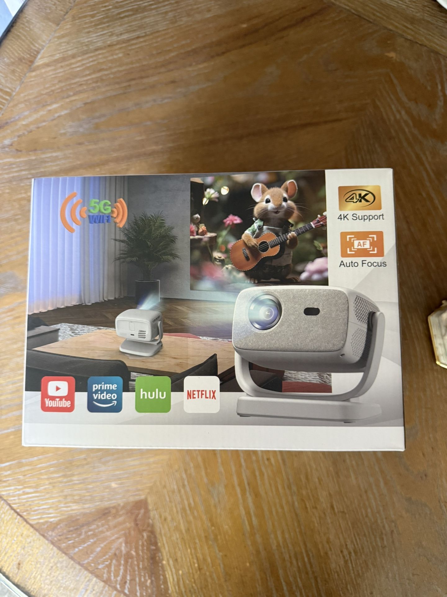 New In Box Smart Mini Projector