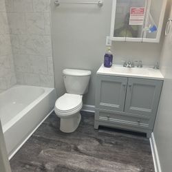 bathroom renovation and drywall and finishing and painting and much more