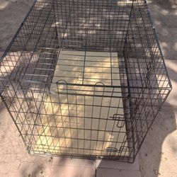 Dog Cage 