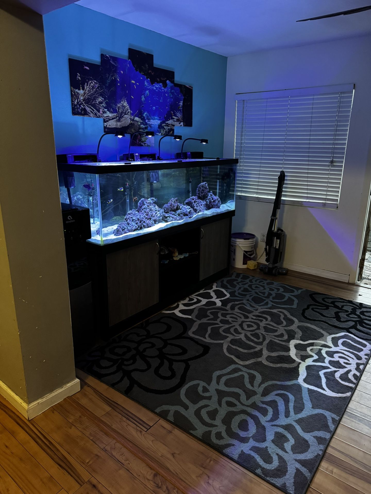 125 Gallon Saltwater Aquarium