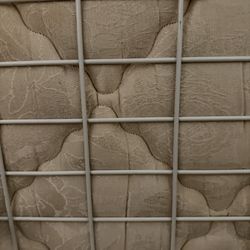 Queen Size Mattress Sealy