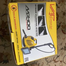 steam cleaning system for insects