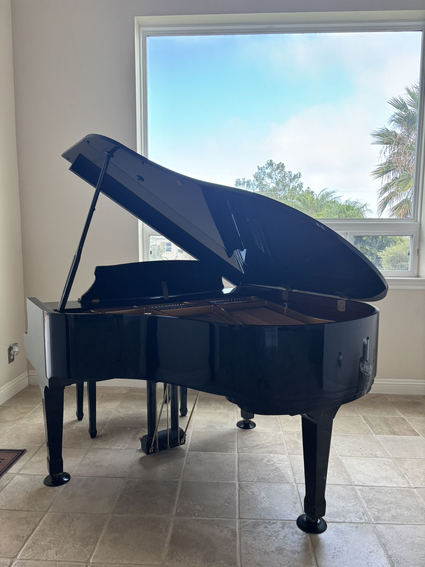Lothar Schell Baby Grand Piano – Polished Ebony