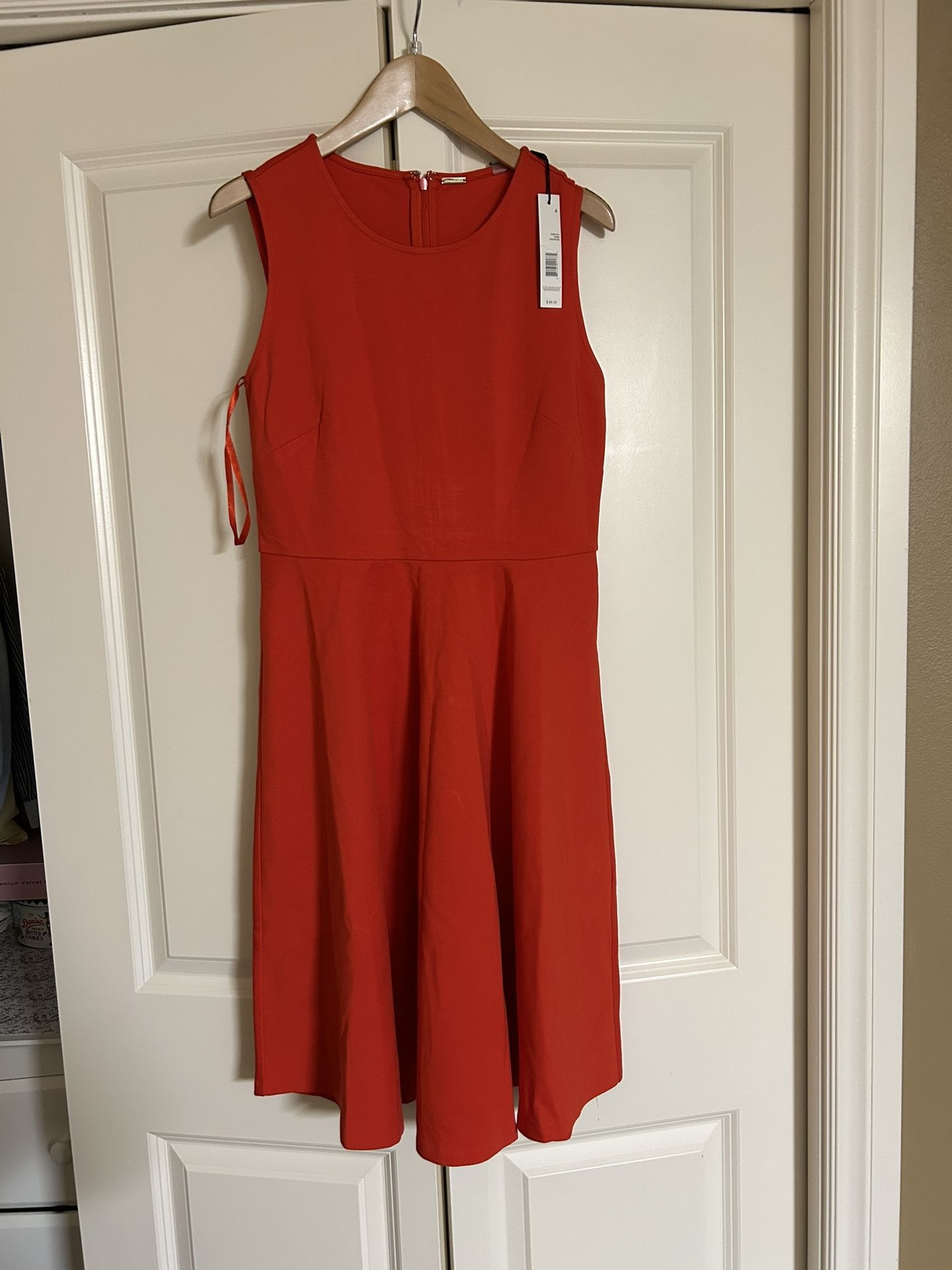 Woman’s Dress Knee Length
