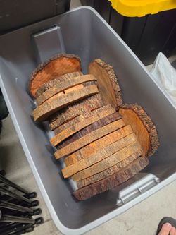 Wood log rounds circles