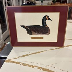 Beautiful Assorted Duck Cork Placemats