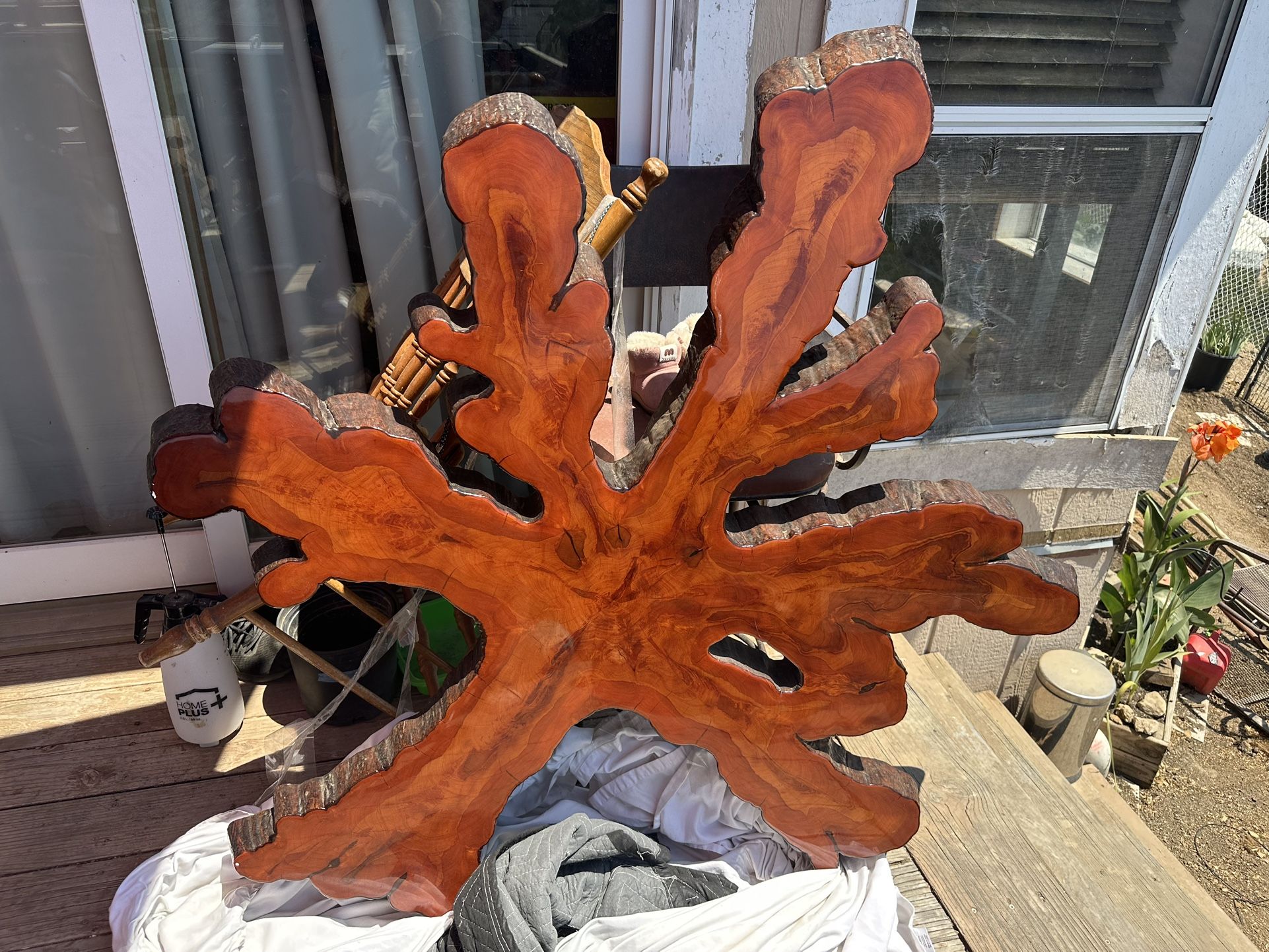 Live Edge Coffee Table / Wall Mount