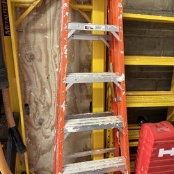 6’ Ladder Werner 