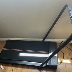 Walking Pad/Treadmill