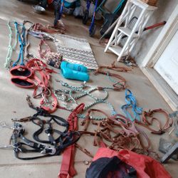 Horse Tack Bridles, Halters, Breast Collars Reins 