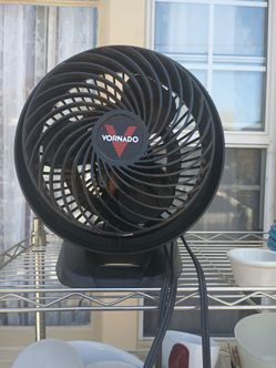 Fan