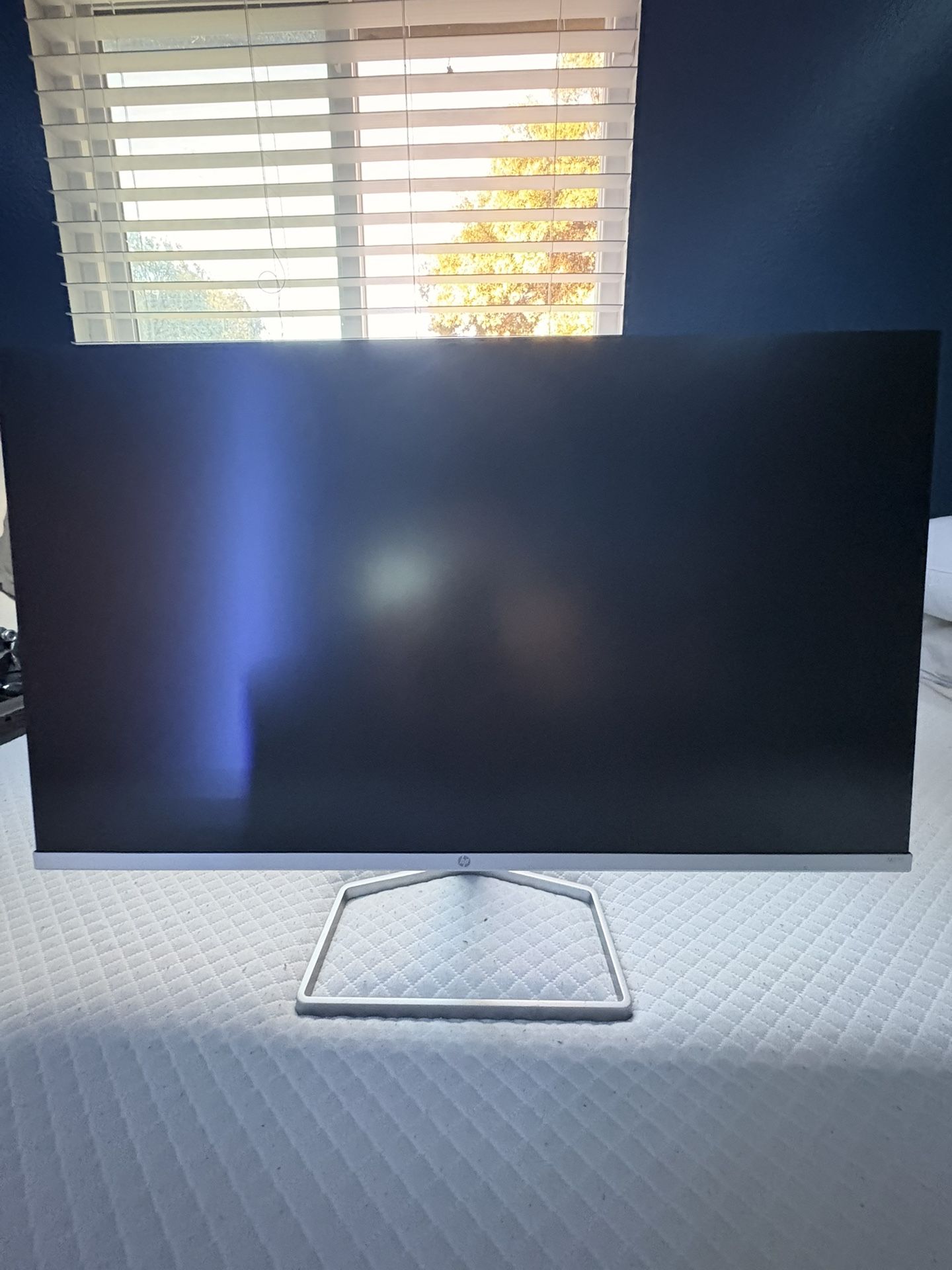 HP M22f FHD Monitor 