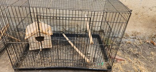 Bird Cage/ Jaula Para Pajaro