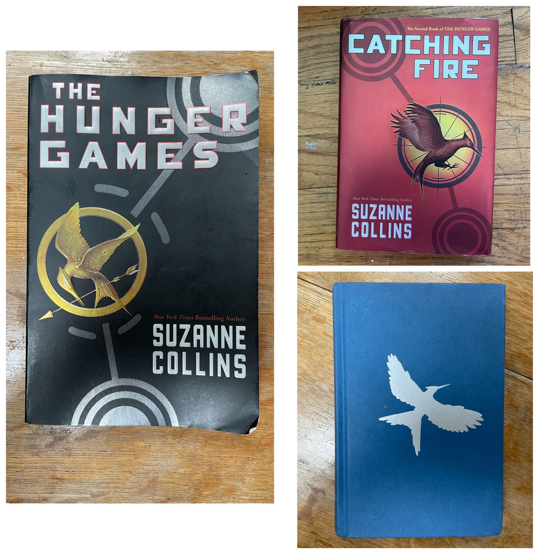 The Hunger Games Original Trilogy Books
