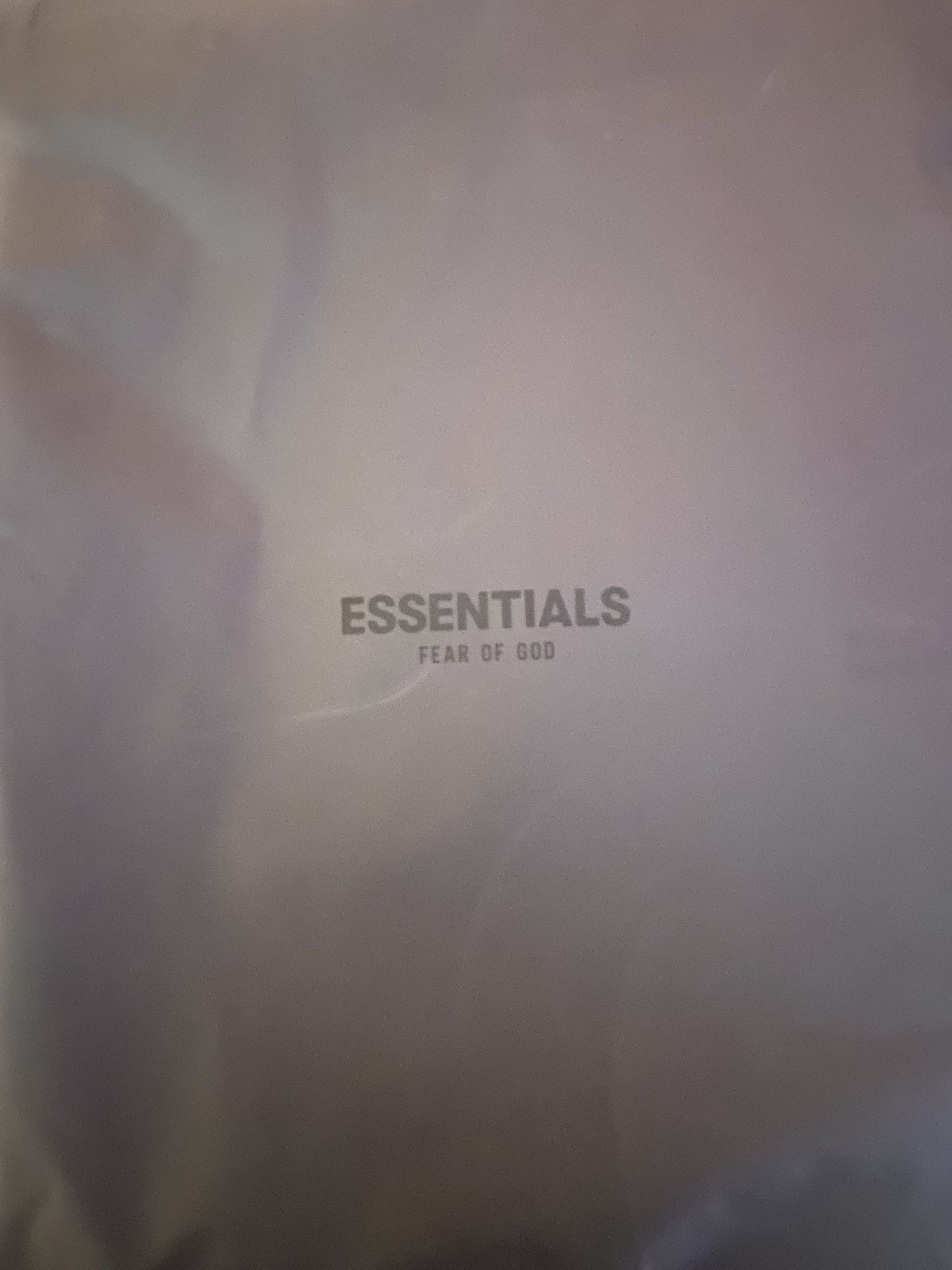 Essentials hoodie