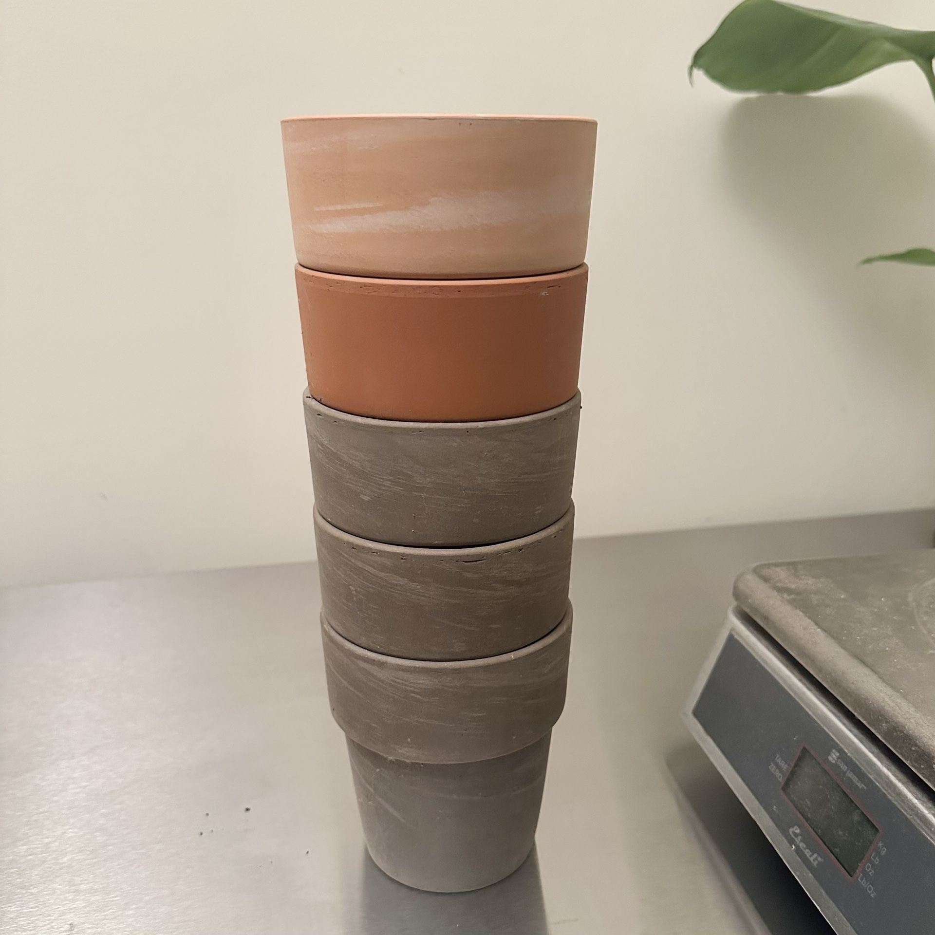 5 of Terracotta Plant Pot
