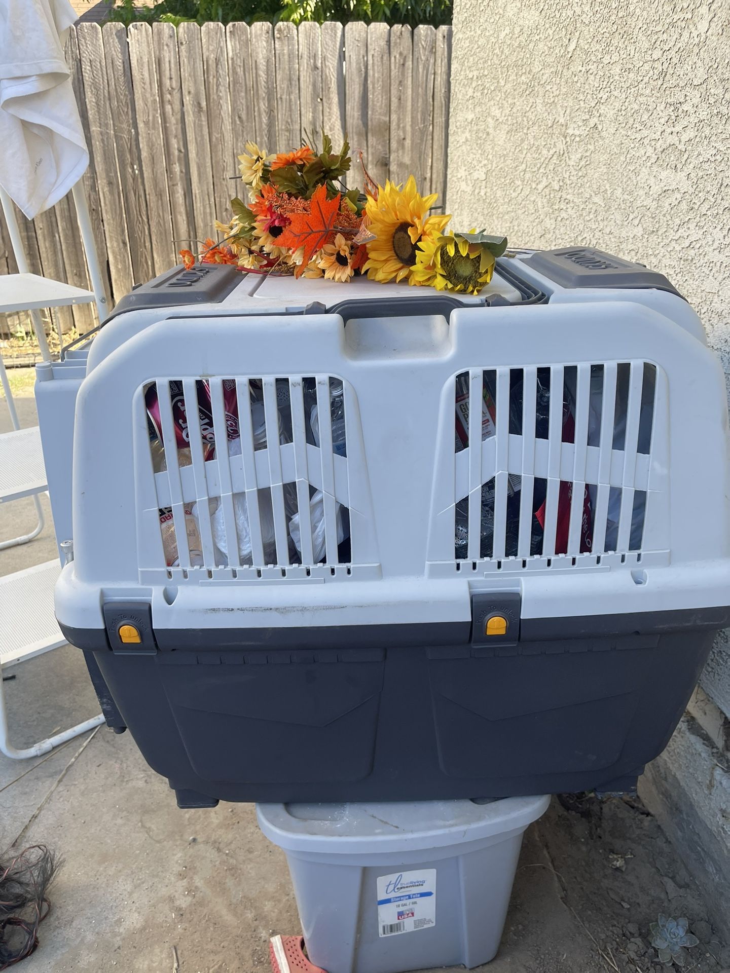 Casa Grande Para Perros