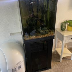 37 Gallon Fish Tank With Everything Included 