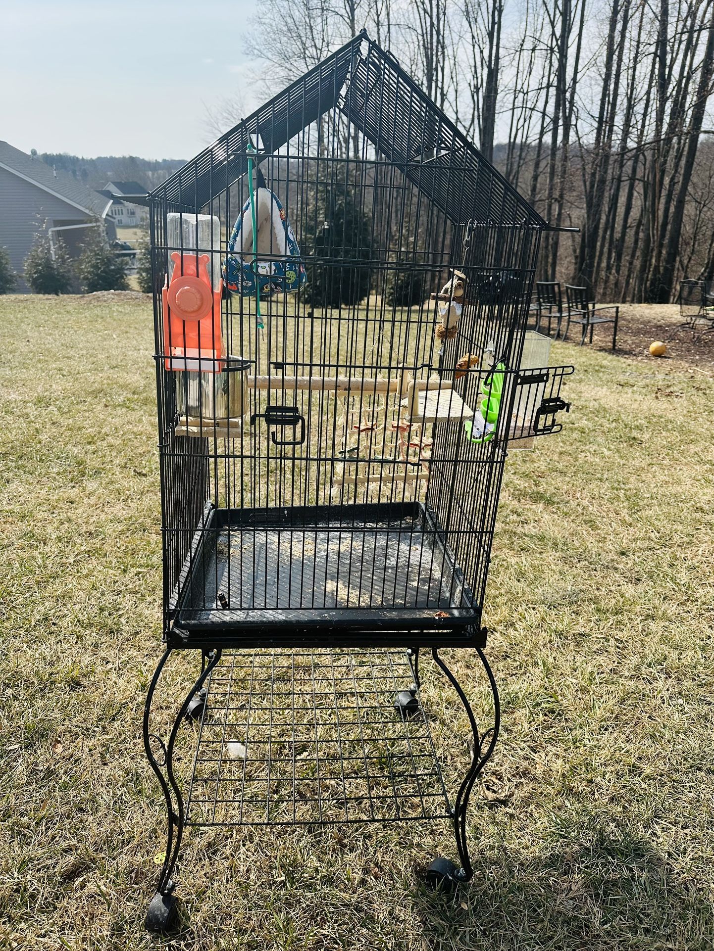 bird and cage 