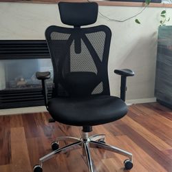 Ergonomic Office Chair - Gently Used