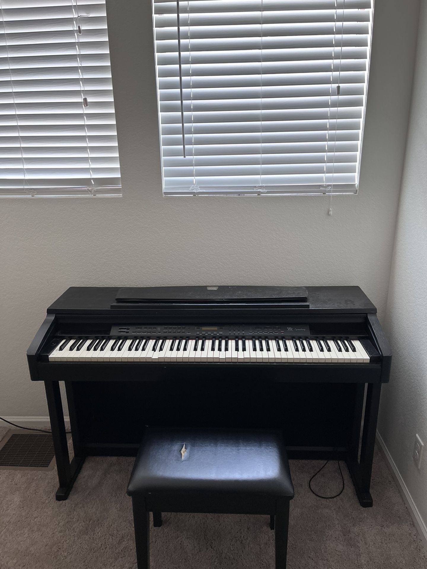 Piano Williams Symphony