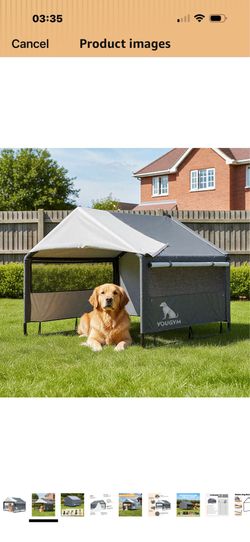 Dog house