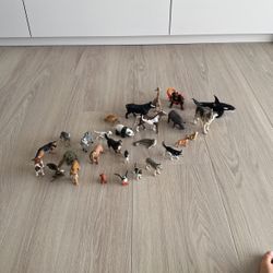 28 Solid Animals For Kids 