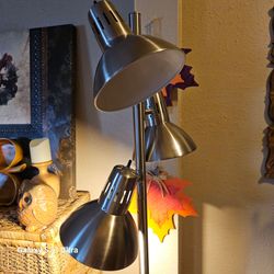 Brushed Nickel Multi-Head Floor Lamp