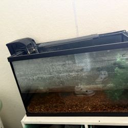 10 Gallon Fish tank 