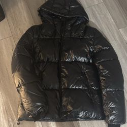 Tommy Hill figure Shiny Puffer