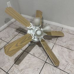 Fan $25