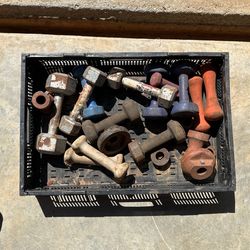 Dumbbells With Bench