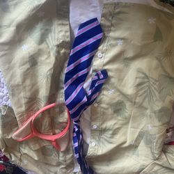 Disney Zootopia Costume (Nick)