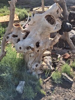 Tree art