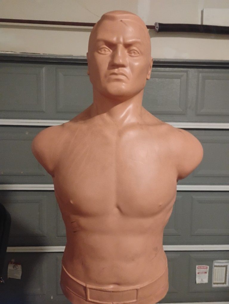 Slightly Used Bob Punching Bag