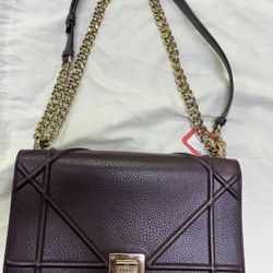 Dior Diorama Burgundy Gold Bag 